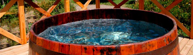 Piscina: imagen 5 de 7